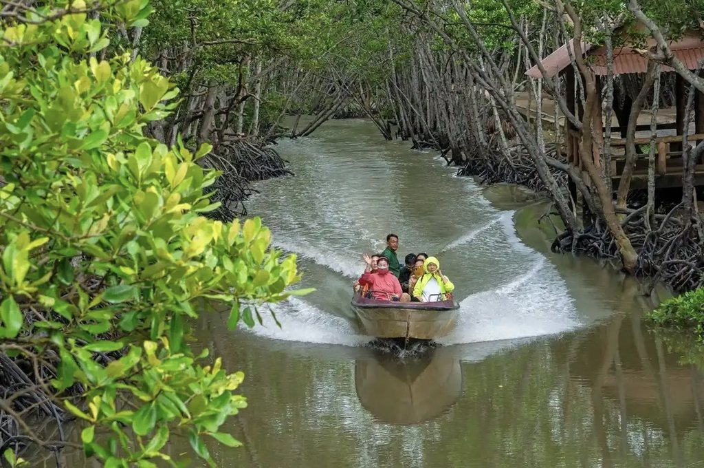 Tour ca-nô qua kênh rừng ngập mặn Cần Giờ